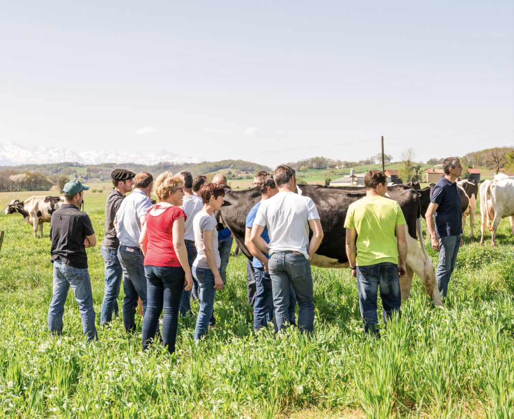 Photo de Producteurs Blanc des Pyrénées